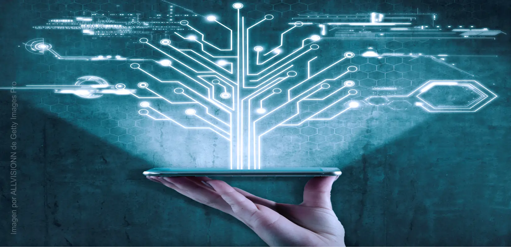 Tecnologías de la Información
